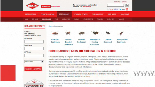 Orkin Websites