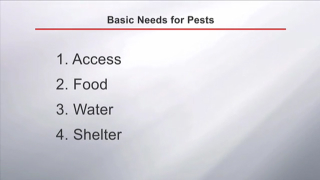 Pest Basic Necessities