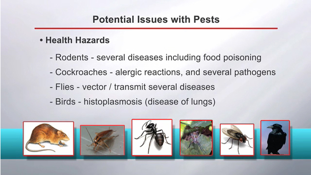 Why Pest Control?